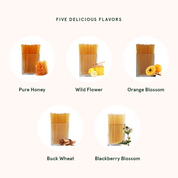 Wildflower Honey Stick Variety Pack