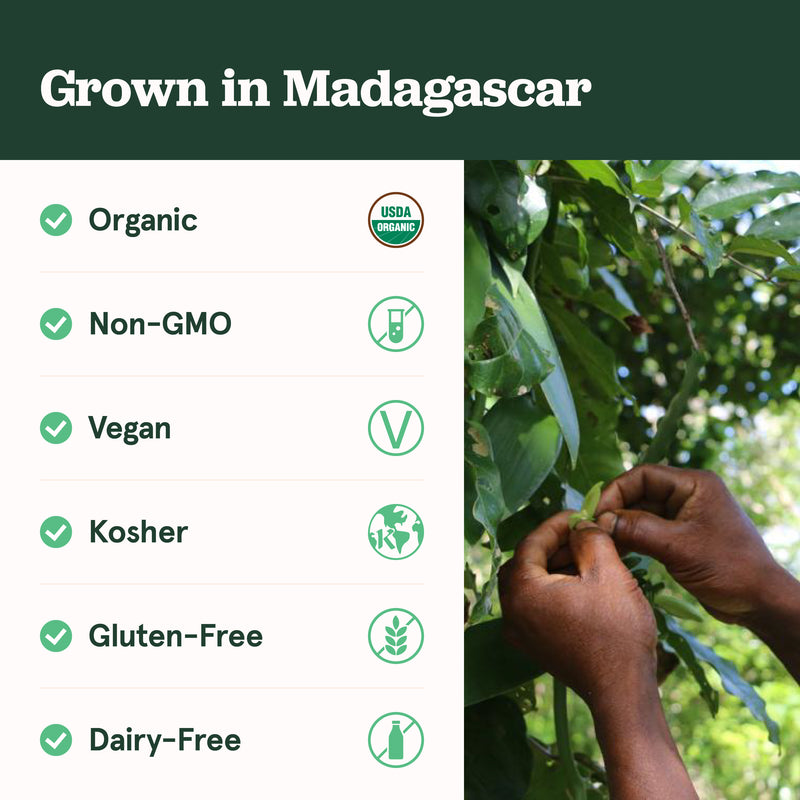 Madagascar Bourbon Grade A Vanilla Beans in Keepsake Jar