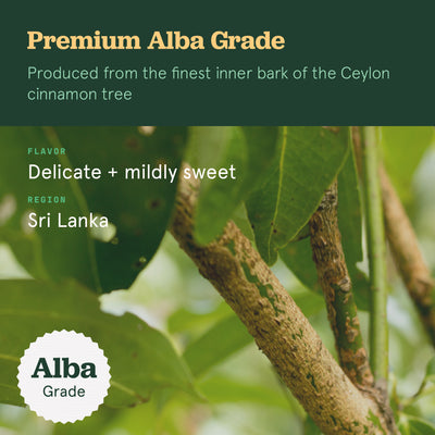 Alba Grade Ceylon Cinnamon Sticks