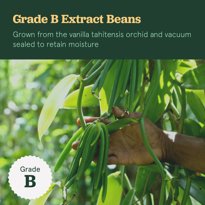 Tahitian Grade B Moist Vanilla Beans