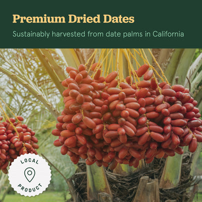 Dried Pitted Deglet Noor Dates