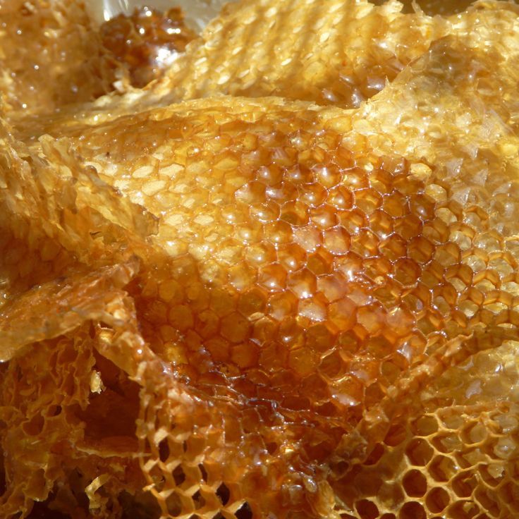 [TEST] Honeycomb